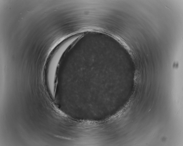 X0000098230877200805081219