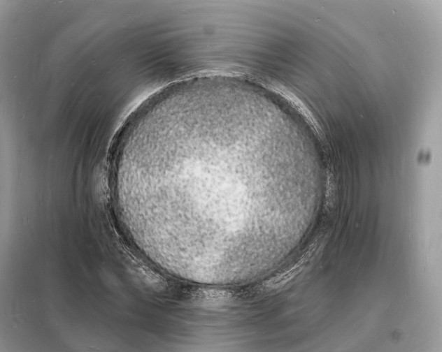 X0000098230878200805081219