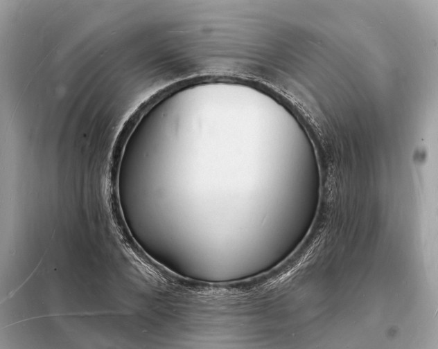 X0000098230880200805081219