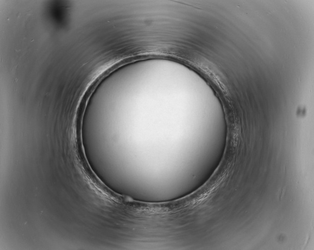 X0000098230884200805081219