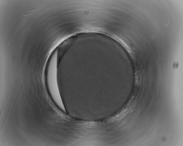 X0000098230885200805081219