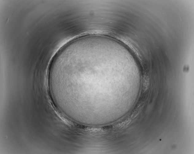 X0000098230886200805081219