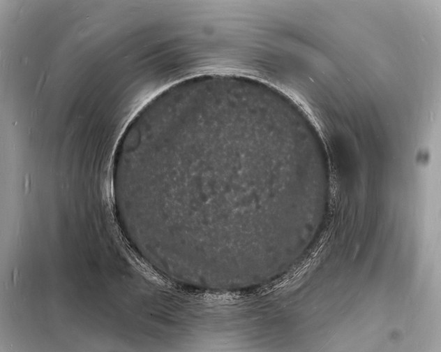 X0000098230887200805081219