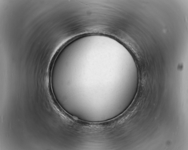 X0000098230888200805081219