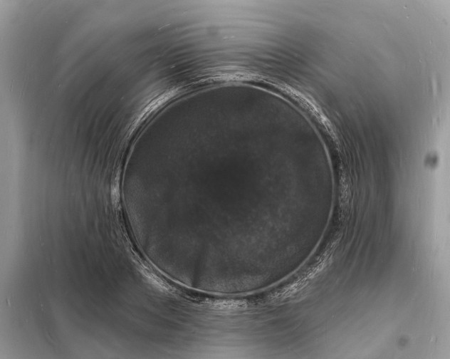 X0000098230889200805081219