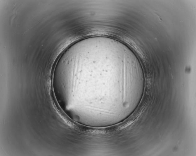 X0000098230890200805081219