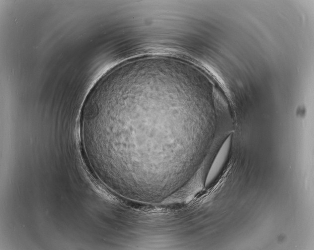 X0000098230891200805081219