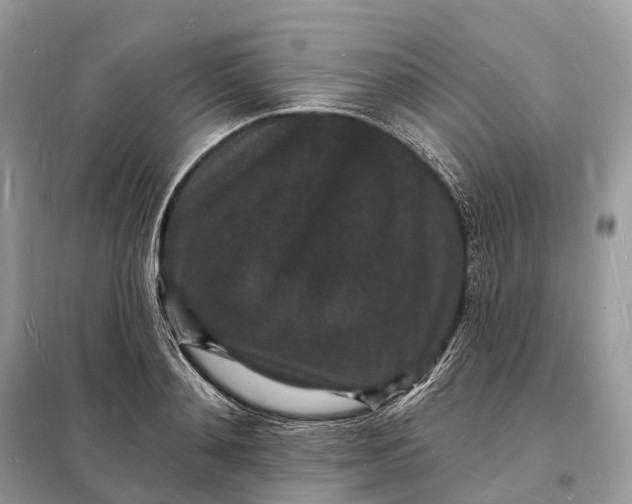 X0000098230892200805081219