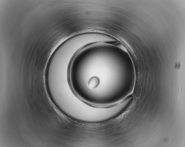 X0000098230893200805081219