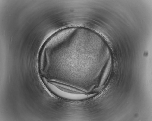 X0000098230894200805081219