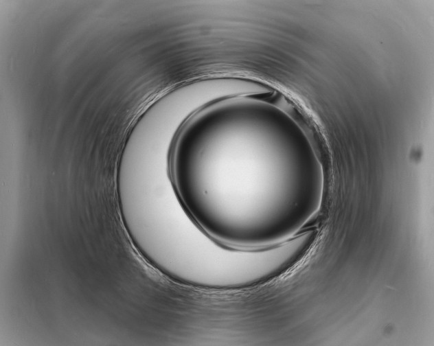 X0000098230897200805081219