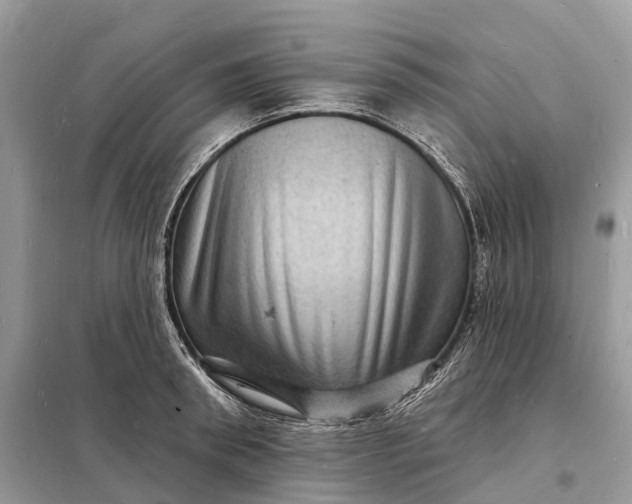 X0000098230898200805081219