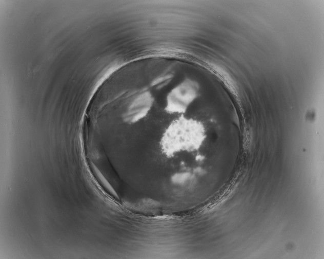 X0000098230899200805081219