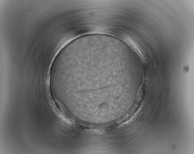 X0000098230900200805081219