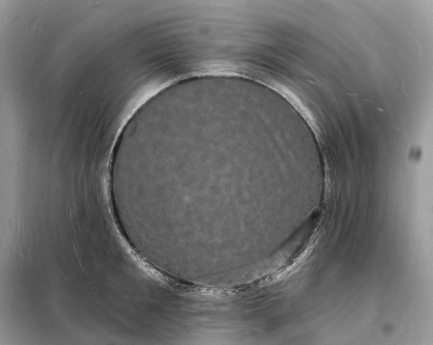 X0000098230901200805081219