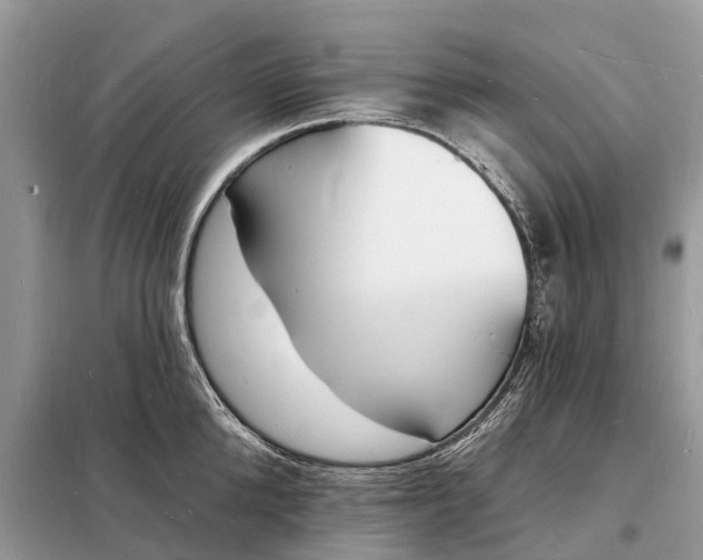 X0000098230904200805081219