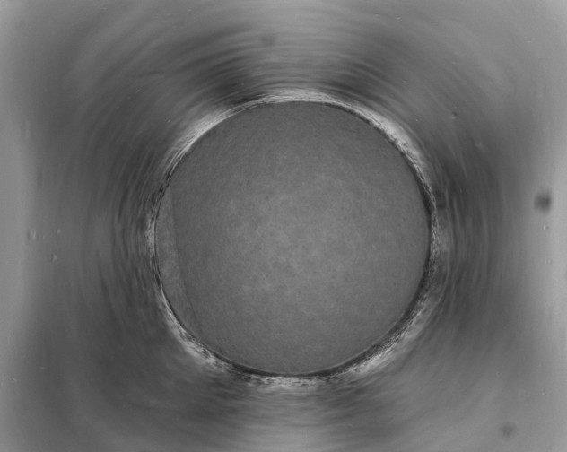 X0000098230905200805081219