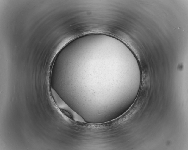 X0000098230906200805081219