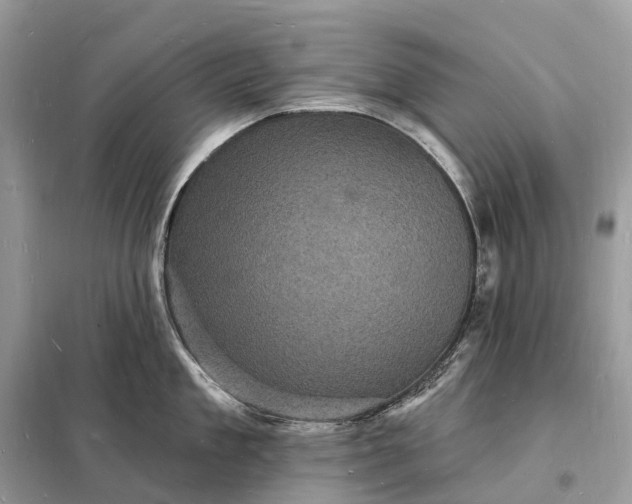 X0000098230909200805081219