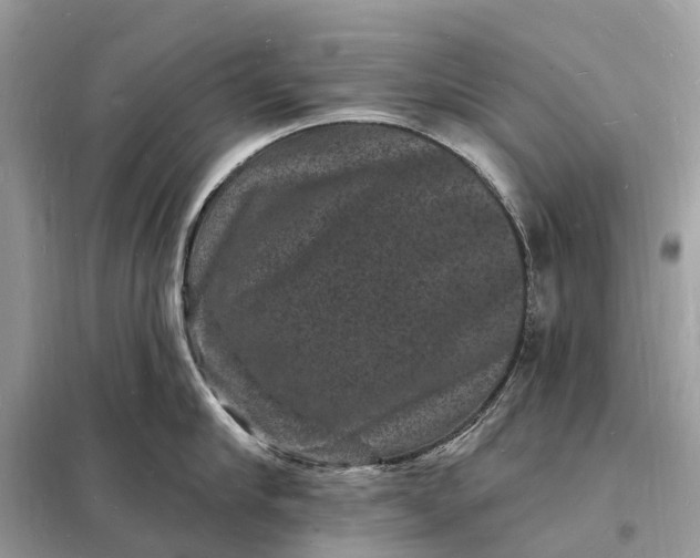 X0000098230910200805081219