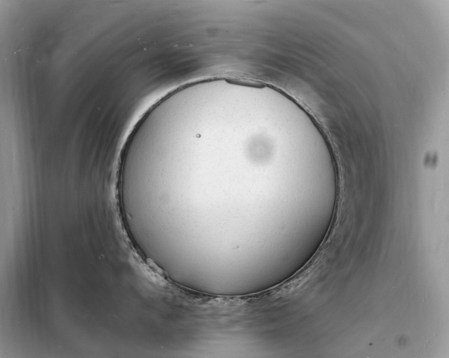 X0000098230912200805081219