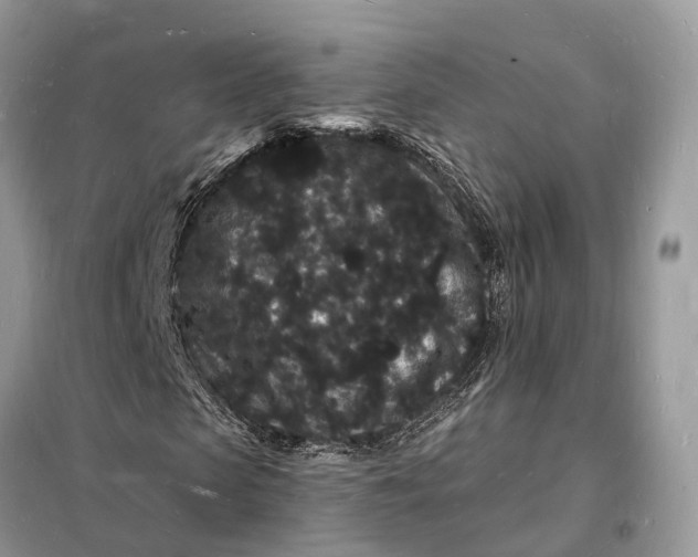 X0000098230913200805081218