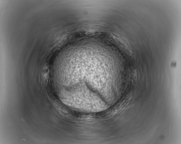 X0000098230914200805081218