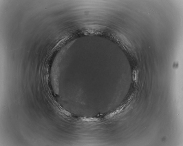 X0000098230915200805081218