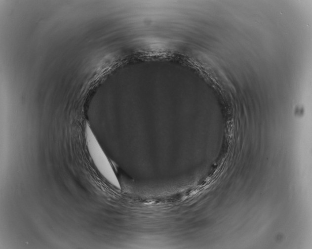 X0000098230916200805081218