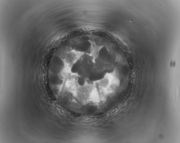 X0000098230917200805081218