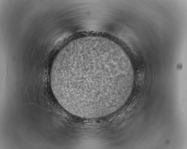 X0000098230918200805081218