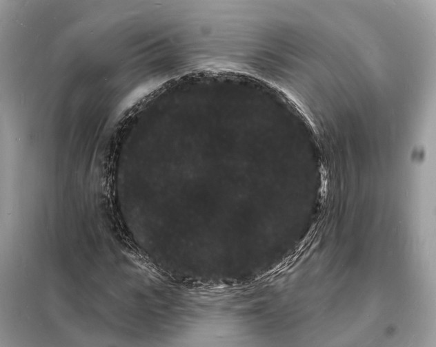 X0000098230919200805081218