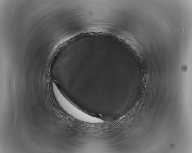 X0000098230920200805081218