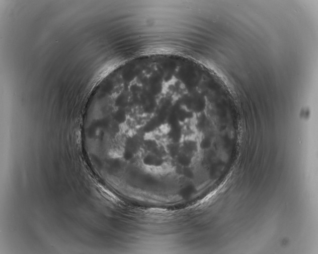 X0000098230921200805081218