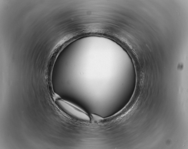 X0000098230922200805081218