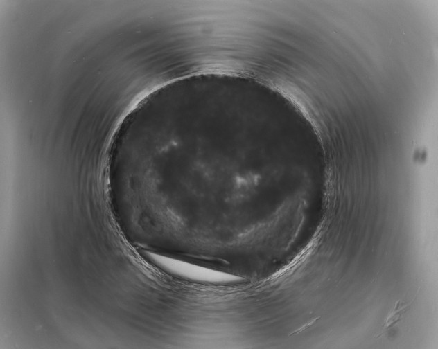 X0000098230923200805081218