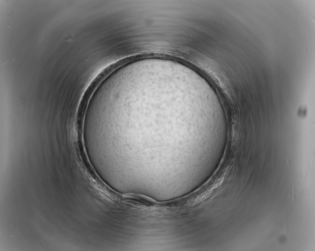 X0000098230924200805081218