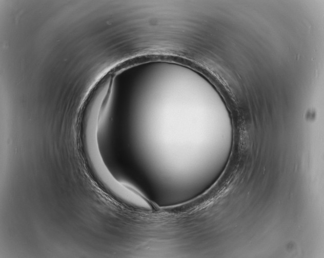 X0000098230926200805081218