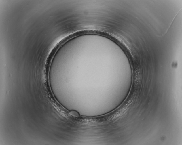 X0000098230927200805081218