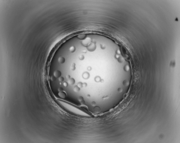 X0000098230928200805081218