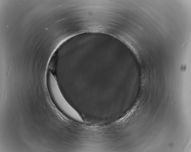 X0000098230932200805081219