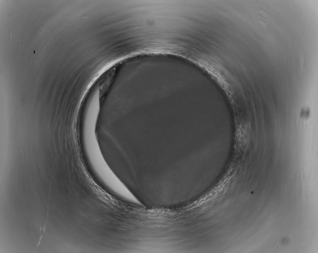 X0000098230934200805081219