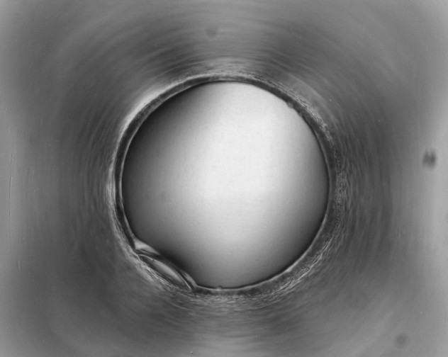 X0000098230936200805081219