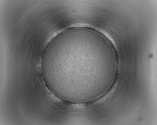 X0000098230937200805081219