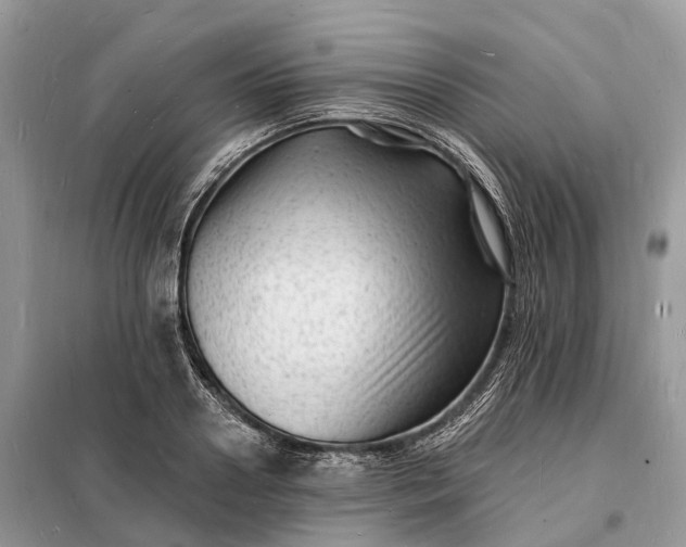 X0000098230938200805081219