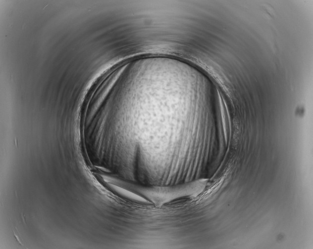 X0000098230939200805081219