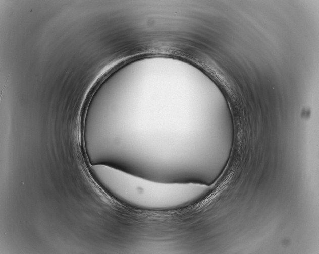 X0000098230940200805081219