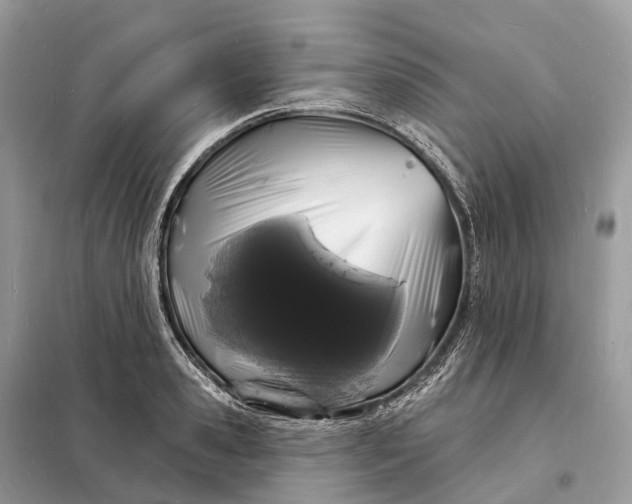 X0000098230941200805081219