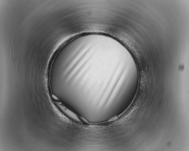 X0000098230942200805081219