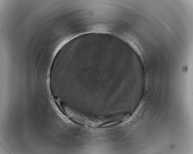 X0000098230944200805081219